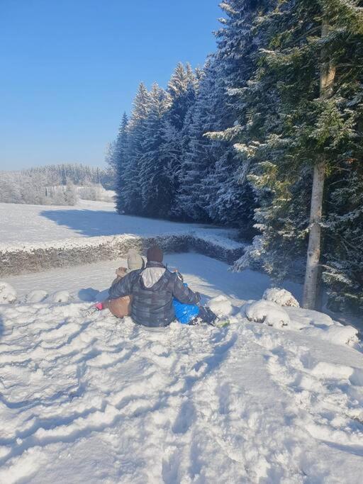 Ferienwohnung Im Allgaeu Mit Bergsicht Oberreute Exteriér fotografie
